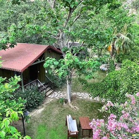 Kibala Holiday park Cirali
